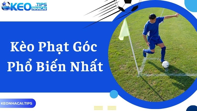 Các dạng kèo phổ biến