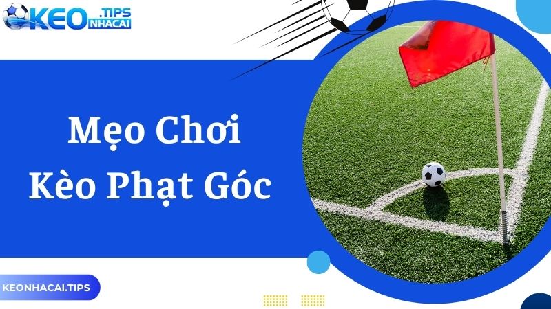 Thủ thuật cá cược hay