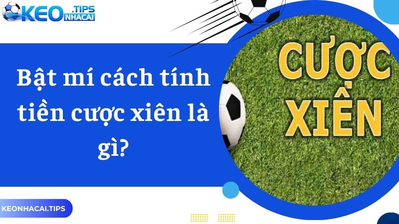 Bật mí cách tính tiền cược xiên là gì?