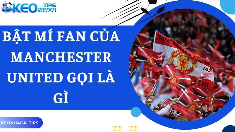 Chia sẻ thông tin chi tiết về fan của Manchester United gọi là gì