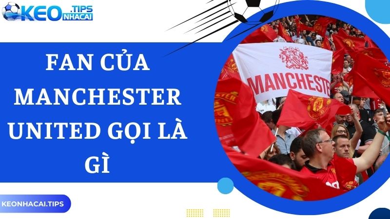 Fan Của Manchester United Gọi Là Gì Theo Chuyên Gia Keonhacai