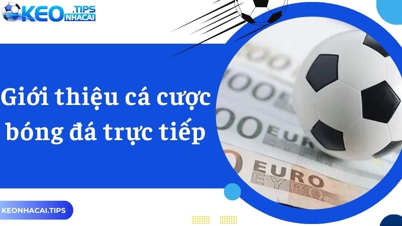 Cá cược bóng đá trực tuyến hấp dẫn