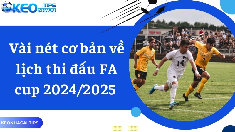 Vài nét cơ bản về cúp FA và lịch thi đấu FA cup 2024/2025 